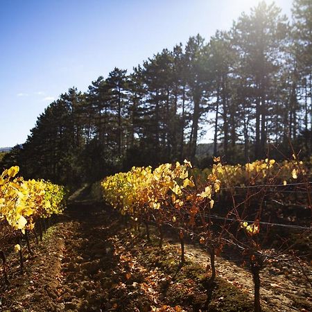 Maison Limoux ليمو المظهر الخارجي الصورة